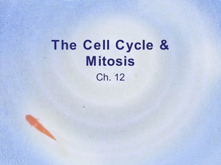 The Cell Cycle &
Mitosis
Ch. 12

 