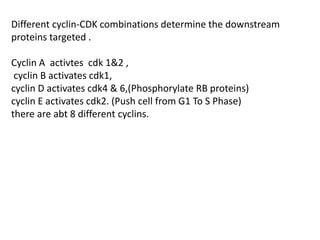Cell cycle | PPT