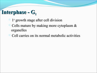 Interphase – S StageInterphase – S Stage
1- Synthesis stage1- Synthesis stage
2- DNA is copied or replicated2- DNA is copied or replicated
TwoTwo
identicalidentical
copies ofcopies of
DNADNA
Original DNAOriginal DNA
 