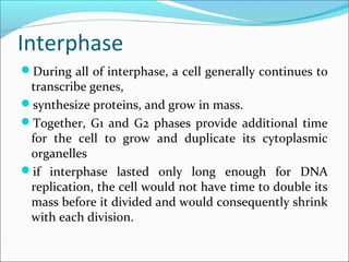 In some animal embryos, for example, the first
cell divisions after fertilization (called cleavage
divisions) serve to subdivide a giant egg cell into
many smaller cells as quickly as possible.
In these embryonic cell cycles, the G1 and G2
phases are drastically shortened, and the cells do
not grow before they divide.
 