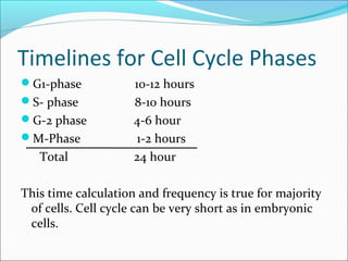 Frequency of cell division
Frequency of cell division varies by cell type
1- embryo
 cell cycle < 30 minute
2- skin cells
 divide frequently throughout life
 12-24 hours cycle
3- liver cells
 retain ability to divide, but keep it in reserve
 divide once every year or two
4- mature nerve cells
 do not divide at all after maturity
 permanently in G0
 