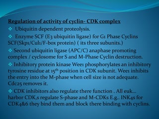 Regulation of activity of cyclin- CDK complex
 Ubiquitin dependent proteolysis.
 Enzyme SCF (E3 ubiquitin ligase) for G1 Phase Cyclins
SCF(Skp1/Cul1/F-box protein) ( its three subunits.)
 Second ubiquitin ligase (APC/C) anaphase promoting
complex / cyclosome for S and M-Phase Cyclin destruction.
 Inhibitory protein kinase Wee1 phosphorylates an inhibitory
tyrosine residue at 15th position in CDK subunit. Wee1 inhibits
the entry into the M-phase when cell size is not adequate.
Cdc25 removes it.
 CDK inhibitors also regulate there function . All euk…
harbor CDK,s regulate S-phase and M-CDKs E.g.. INK4s for
CDK4&6 they bind them and block there binding with cyclins.
 