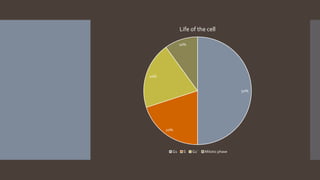 50%
20%
20%
10%
Life of the cell
G1 S G2` Mitotic phase
 
