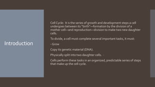 Introduction
Cell Cycle: It is the series of growth and development steps a cell
undergoes between its “birth”—formation by the division of a
mother cell—and reproduction—division to make two new daughter
cells.
To divide, a cell must complete several important tasks, it must:
- Grow
Copy its genetic material (DNA).
-Physically split into two daughter cells.
Cells perform these tasks in an organized, predictable series of steps
that make up the cell cycle.
 