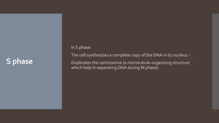 S phase
In S phase:
-The cell synthesizes a complete copy of the DNA in its nucleus.
-Duplicates the centrosome (a microtubule-organizing structure
which help in separating DNA during M phase).
 