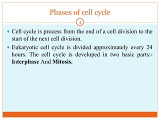 Phases of cell cycle
 Cell cycle is process from the end of a cell division to the
start of the next cell division.
 Eukaryotic cell cycle is divided approximately every 24
hours. The cell cycle is developed in two basic parts:-
Interphase And Mitosis.
4
 