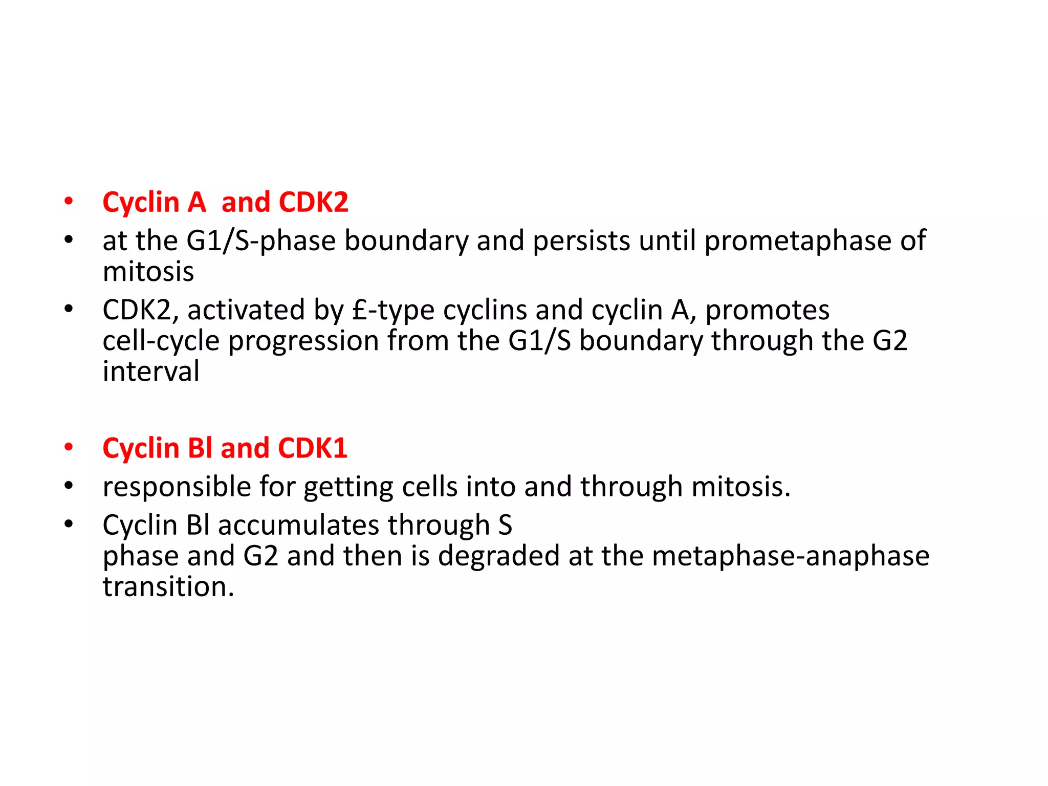 Cell cycle and tumor kinetics | PPTX