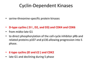 Cyclin-Dependent Kinases
• serine-threonine-specific protein kinases
• D-type cyclins ( D l , D2, and D3) and CDK4 and CDK6
• from midto-late G1
• to direct phosphorylation of the cell-cycle inhibitor pRb and
related proteins p107 and p130.allowing progression into S
phase.
• £-type cyclins (El and £2 ) and CDK2
• late G1 and declining during S phase
 