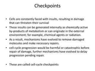 Checkpoints
• Cells are constantly faced with insults, resulting in damage
that can threaten their survival
• These insults can be generated internally as chemically active
by-products of metabolism or can originate in the external
environment; for example, chemical agents or radiation.
• As a result, mechanisms have evolved to remove damaged
molecules and make necessary repairs.
• cell-cycle progression would be harmful or catastrophic before
repair of damage, further mechanisms have evolved to delay
progression pending repair.
• These are called cell-cycle checkpoints
 
