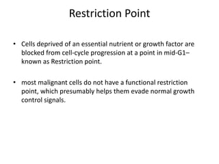 Restriction Point
• Cells deprived of an essential nutrient or growth factor are
blocked from cell-cycle progression at a point in mid-G1–
known as Restriction point.
• most malignant cells do not have a functional restriction
point, which presumably helps them evade normal growth
control signals.
 