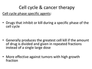 Cell cycle & cancer therapy
Cell cycle phase specific agents:
• Drugs that inhibit or kill during a specific phase of the
cell cycle
• Generally produces the greatest cell kill if the amount
of drug is divided and given in repeated fractions
instead of a single large dose
• More effective against tumors with high growth
fraction
 
