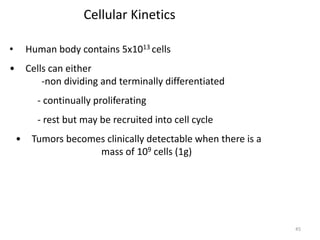 45
Cellular Kinetics
• Human body contains 5x1013 cells
• Cells can either
-non dividing and terminally differentiated
- continually proliferating
- rest but may be recruited into cell cycle
• Tumors becomes clinically detectable when there is a
mass of 109 cells (1g)
 