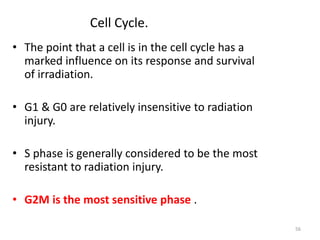56
Cell Cycle.
• The point that a cell is in the cell cycle has a
marked influence on its response and survival
of irradiation.
• G1 & G0 are relatively insensitive to radiation
injury.
• S phase is generally considered to be the most
resistant to radiation injury.
• G2M is the most sensitive phase .
 