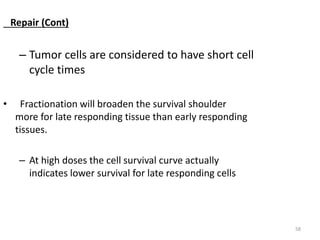 58
Repair (Cont)
– Tumor cells are considered to have short cell
cycle times
• Fractionation will broaden the survival shoulder
more for late responding tissue than early responding
tissues.
– At high doses the cell survival curve actually
indicates lower survival for late responding cells
 