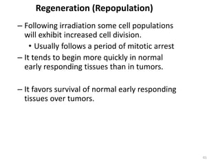 61
Regeneration (Repopulation)
– Following irradiation some cell populations
will exhibit increased cell division.
• Usually follows a period of mitotic arrest
– It tends to begin more quickly in normal
early responding tissues than in tumors.
– It favors survival of normal early responding
tissues over tumors.
 