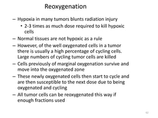 62
Reoxygenation
– Hypoxia in many tumors blunts radiation injury
• 2-3 times as much dose required to kill hypoxic
cells
– Normal tissues are not hypoxic as a rule
– However, of the well oxygenated cells in a tumor
there is usually a high percentage of cycling cells.
Large numbers of cycling tumor cells are killed
– Cells previously of marginal oxygenation survive and
move into the oxygenated zone
– These newly oxygenated cells then start to cycle and
are then susceptible to the next dose due to being
oxygenated and cycling
– All tumor cells can be reoxygenated this way if
enough fractions used
 