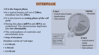 Cell cycle | PPTX