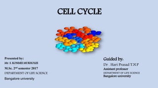 CELL CYCLE
Presented by:
Mr. S. KONMEI MUKHOLEE
M.Sc. 2nd semester 2017
DEPARTMENT OF LIFE SCIENCE
Bangalore university
Dr . Hari Prasad T.N.P
Assistant professor
DEPARTMENT OF LIFE SCIENCE
Bangalore university
Guided by:
 