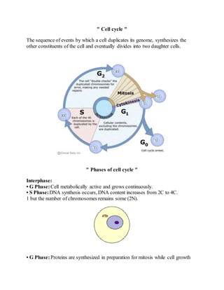 " Cell cycle "
The sequence of events by which a cell duplicates its genome, synthesizes the
other constituents of the cell and eventually divides into two daughter cells.
" Phases of cell cycle "
Interphase:
• G Phase:Cell metabolically active and grows continuously.
• S Phase:DNA synthesis occurs, DNA content increases from 2C to 4C.
1 but the number of chromosomes remains some (2N).
• G Phase:Proteins are synthesized in preparation for mitosis while cell growth
 
