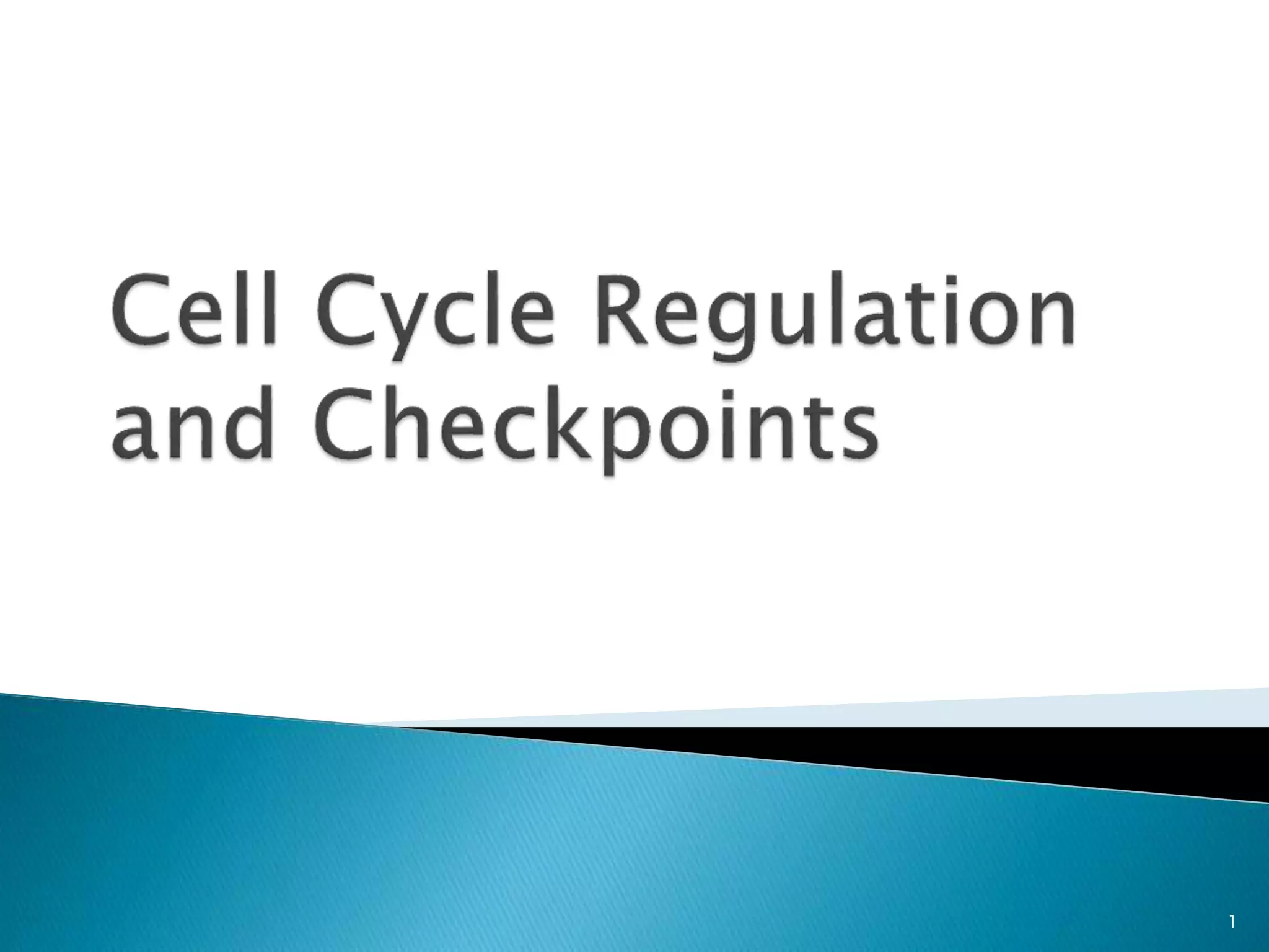 Cell cycle regulation and checkpoints PPT