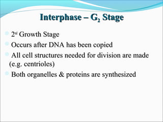 Interphase – GInterphase – G22 StageStage
22ndnd
Growth StageGrowth Stage
Occurs after DNA has been copiedOccurs after DNA has been copied
All cell structures needed for division are madeAll cell structures needed for division are made
(e.g. centrioles)(e.g. centrioles)
Both organelles & proteins are synthesizedBoth organelles & proteins are synthesized
 