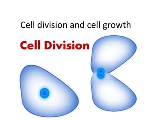 Cell division and cell growth
 