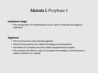 Meiosis I: Prophase I
Leptotene stage:
• The compaction of chromosomes occurs which continues throughout
leptotene
Zygotene:
• The chromosomes start pairing together
• Paired chromosomes are called homologous chromosomes
• Formation of complex structure called synaptonemal complex
• The complex formed by a pair of synapsed homologous chromosomes is
called a bivalent or a tetrad
 