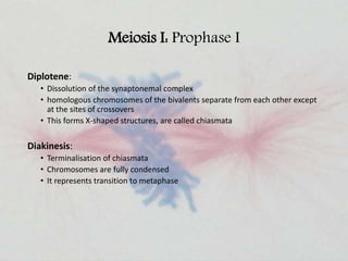 Meiosis I: Prophase I
Diplotene:
• Dissolution of the synaptonemal complex
• homologous chromosomes of the bivalents separate from each other except
at the sites of crossovers
• This forms X-shaped structures, are called chiasmata
Diakinesis:
• Terminalisation of chiasmata
• Chromosomes are fully condensed
• It represents transition to metaphase
 