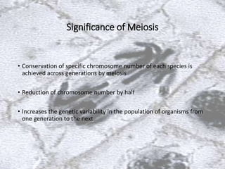 Significance of Meiosis
• Conservation of specific chromosome number of each species is
achieved across generations by meiosis
• Reduction of chromosome number by half
• Increases the genetic variability in the population of organisms from
one generation to the next
 