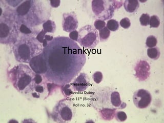 Thankyou
Presented by:
Nivedita Dubey
Class 11th (Biology)
Roll no. 32
 