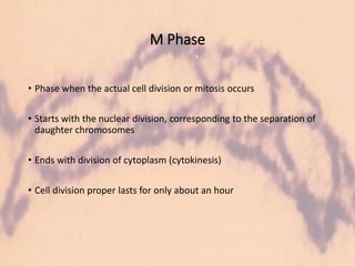 M Phase
• Phase when the actual cell division or mitosis occurs
• Starts with the nuclear division, corresponding to the separation of
daughter chromosomes
• Ends with division of cytoplasm (cytokinesis)
• Cell division proper lasts for only about an hour
 