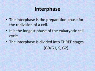 Interphase
• The interphase is the preparation phase for
the redivision of a cell.
• It is the longest phase of the eukaryotic cell
cycle.
• The interphase is divided into THREE stages.
(G0/G1, S, G2)
 