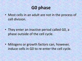 G0 phase
• Most cells in an adult are not in the process of
cell division.
• They enter an inactive period called G0, a
phase outside of the cell cycle.
• Mitogens or growth factors can, however,
induce cells in G0 to re-enter the cell cycle.
 