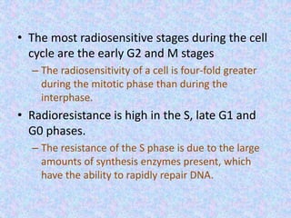 • The most radiosensitive stages during the cell
cycle are the early G2 and M stages
– The radiosensitivity of a cell is four-fold greater
during the mitotic phase than during the
interphase.
• Radioresistance is high in the S, late G1 and
G0 phases.
– The resistance of the S phase is due to the large
amounts of synthesis enzymes present, which
have the ability to rapidly repair DNA.
 