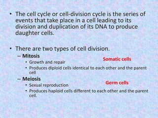 • The cell cycle or cell-division cycle is the series of
events that take place in a cell leading to its
division and duplication of its DNA to produce
daughter cells.
• There are two types of cell division.
– Mitosis
• Growth and repair
• Produces diploid cells identical to each other and the parent
cell
– Meiosis
• Sexual reproduction
• Produces haploid cells different to each other and the parent
cell.
Somatic cells
Germ cells
 