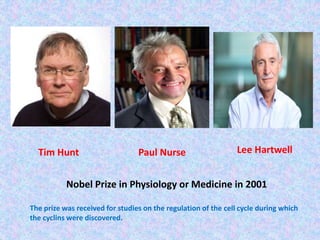 Tim Hunt Paul Nurse Lee Hartwell
Nobel Prize in Physiology or Medicine in 2001
The prize was received for studies on the regulation of the cell cycle during which
the cyclins were discovered.
 