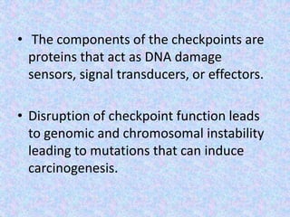 • The components of the checkpoints are
proteins that act as DNA damage
sensors, signal transducers, or effectors.
• Disruption of checkpoint function leads
to genomic and chromosomal instability
leading to mutations that can induce
carcinogenesis.
 