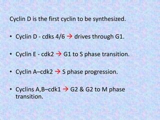 Cyclin D is the first cyclin to be synthesized.
• Cyclin D - cdks 4/6  drives through G1.
• Cyclin E - cdk2  G1 to S phase transition.
• Cyclin A–cdk2  S phase progression.
• Cyclins A,B–cdk1  G2 & G2 to M phase
transition.
 