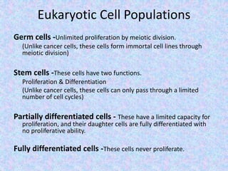 Eukaryotic Cell Populations
Germ cells -Unlimited proliferation by meiotic division.
(Unlike cancer cells, these cells form immortal cell lines through
meiotic division)
Stem cells -These cells have two functions.
Proliferation & Differentiation
(Unlike cancer cells, these cells can only pass through a limited
number of cell cycles)
Partially differentiated cells - These have a limited capacity for
proliferation, and their daughter cells are fully differentiated with
no proliferative ability.
Fully differentiated cells -These cells never proliferate.
 