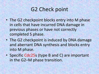 G2 Check point
• The G2 checkpoint blocks entry into M phase
in cells that have incurred DNA damage in
previous phases or have not correctly
completed S phase.
• The G2 checkpoint is induced by DNA damage
and aberrant DNA synthesis and blocks entry
into M phase.
• Specific Cdc25s (type B and C) are important
in the G2–M phase transition.
 