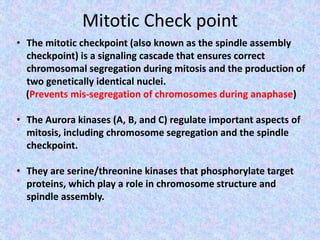 Mitotic Check point
• The mitotic checkpoint (also known as the spindle assembly
checkpoint) is a signaling cascade that ensures correct
chromosomal segregation during mitosis and the production of
two genetically identical nuclei.
(Prevents mis-segregation of chromosomes during anaphase)
• The Aurora kinases (A, B, and C) regulate important aspects of
mitosis, including chromosome segregation and the spindle
checkpoint.
• They are serine/threonine kinases that phosphorylate target
proteins, which play a role in chromosome structure and
spindle assembly.
 