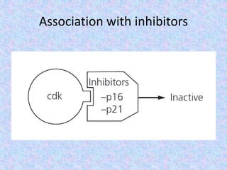 Association with inhibitors
 