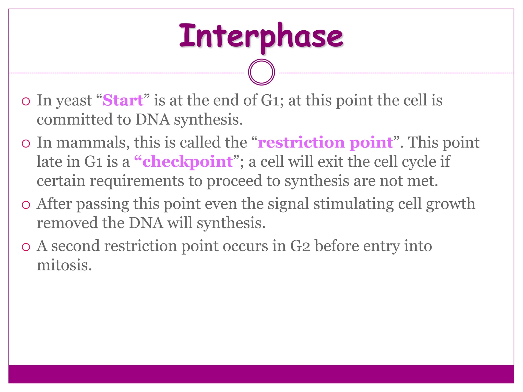 Interphase
 In yeast “Start” is at the end of G1; at this point the cell is
committed to DNA synthesis.
 In mammals, this is called the “restriction point”. This point
late in G1 is a “checkpoint”; a cell will exit the cell cycle if
certain requirements to proceed to synthesis are not met.
 After passing this point even the signal stimulating cell growth
removed the DNA will synthesis.
 A second restriction point occurs in G2 before entry into
mitosis.
 