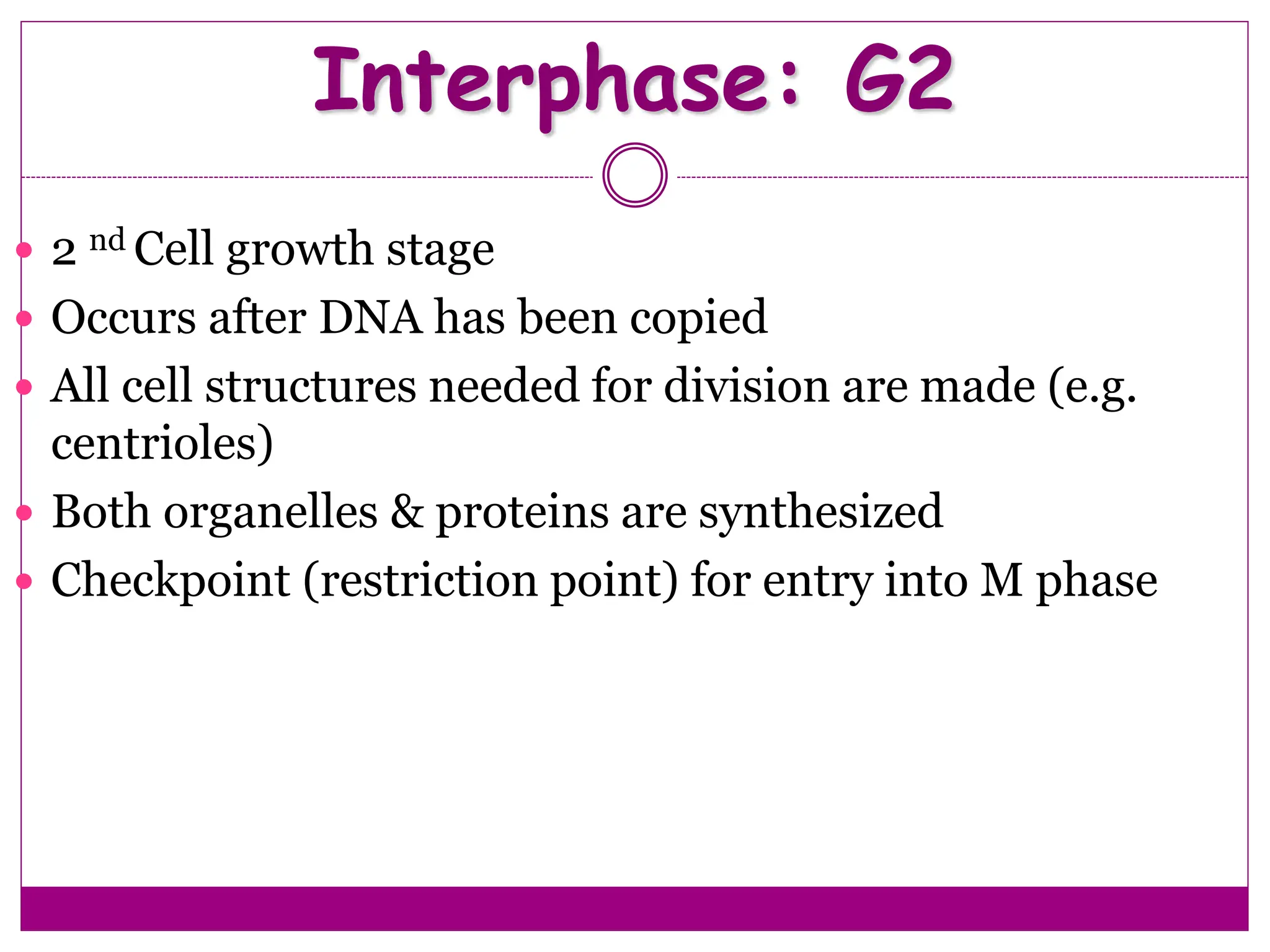 Interphase: G2
 2 nd Cell growth stage
 Occurs after DNA has been copied
 All cell structures needed for division are made (e.g.
centrioles)
 Both organelles & proteins are synthesized
 Checkpoint (restriction point) for entry into M phase
 