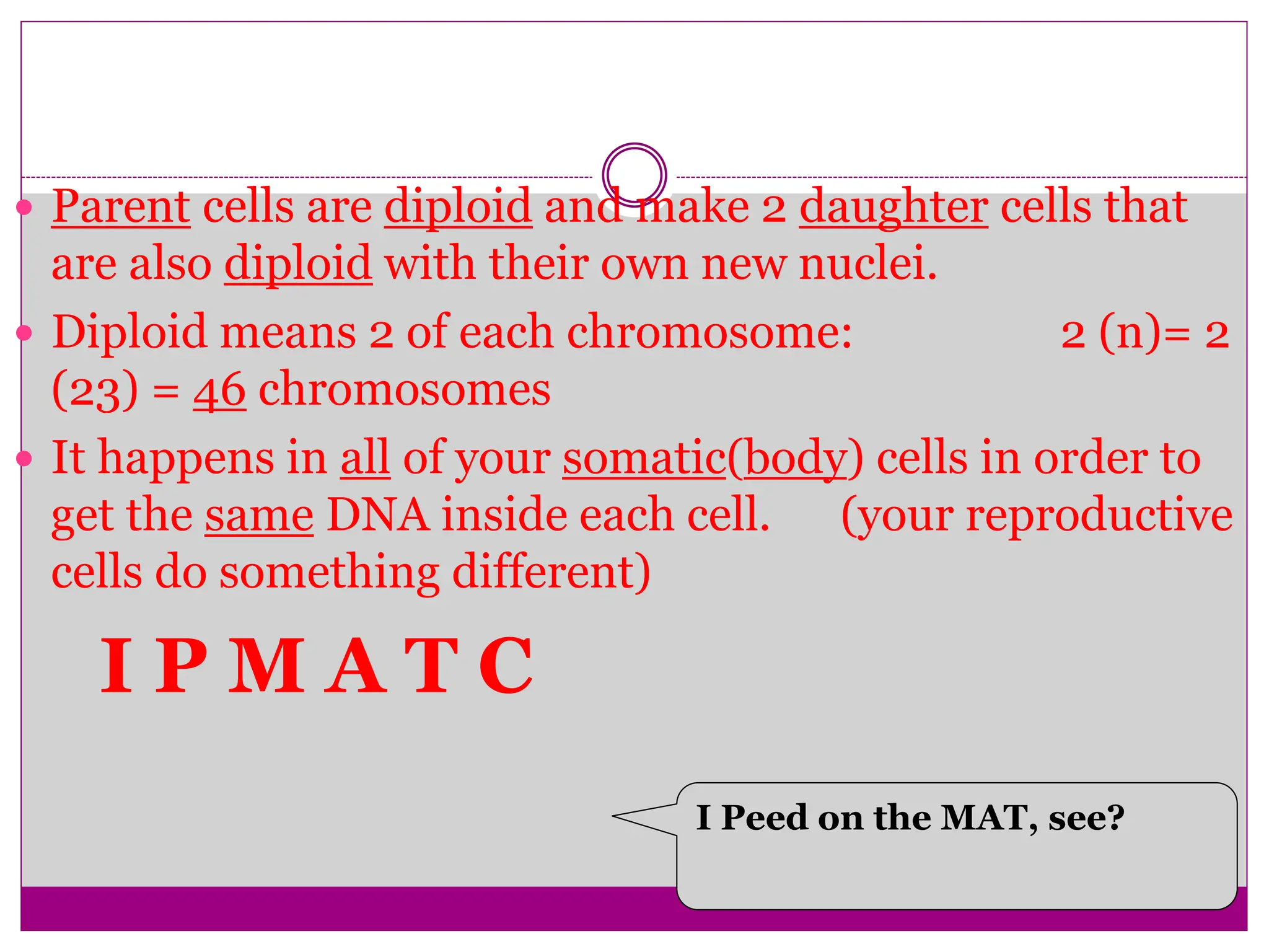 What is the Cell Cycle?
 Parent cells are diploid and make 2 daughter cells that
are also diploid with their own new nuclei.
 Diploid means 2 of each chromosome: 2 (n)= 2
(23) = 46 chromosomes
 It happens in all of your somatic(body) cells in order to
get the same DNA inside each cell. (your reproductive
cells do something different)
I P M A T C
I Peed on the MAT, see?
 