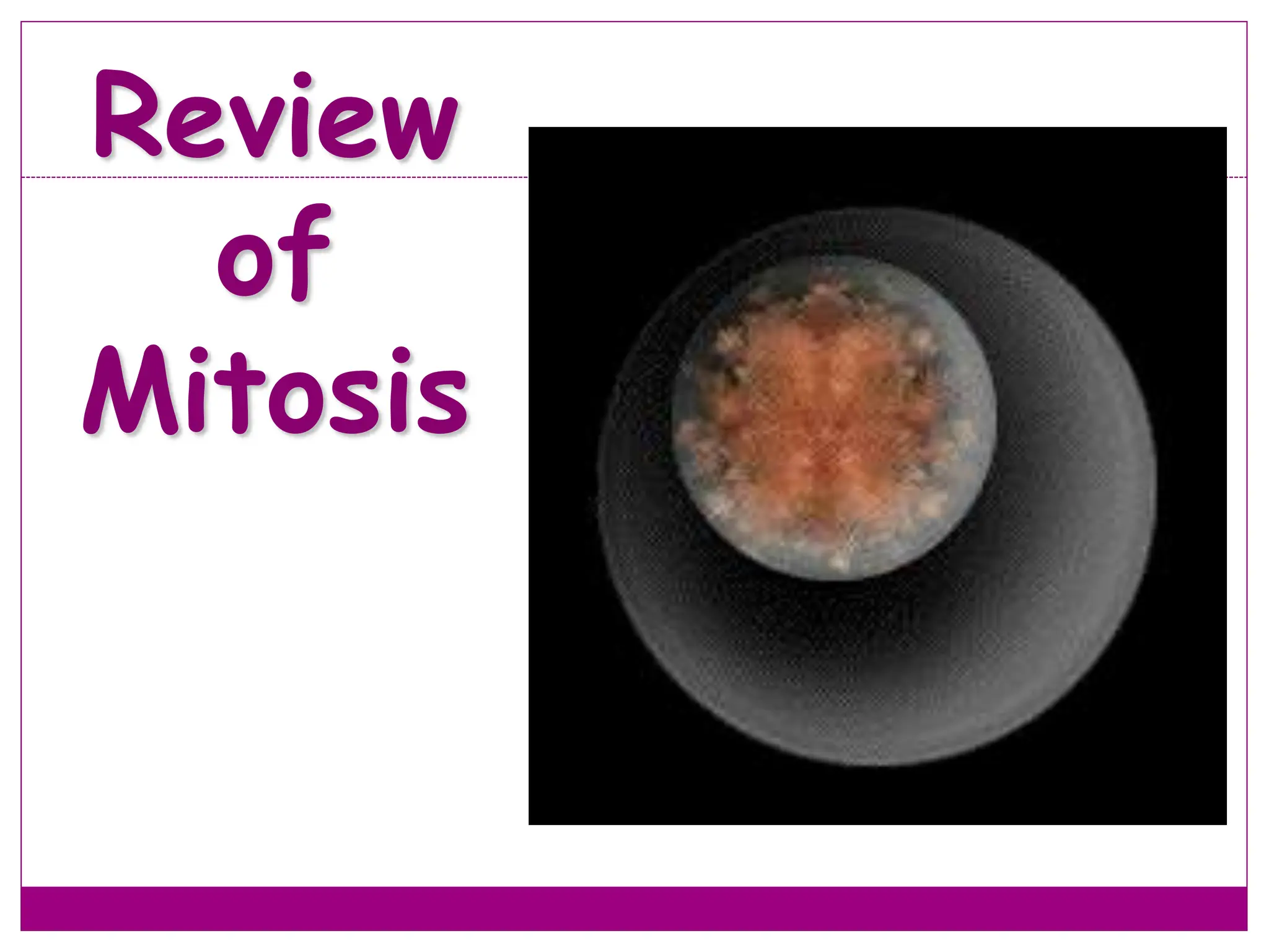 Review
of
Mitosis
44
 