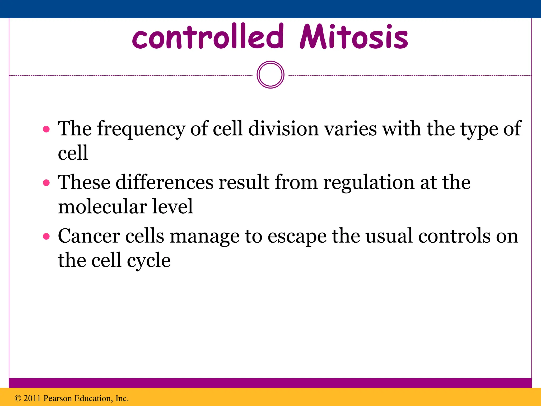 controlled Mitosis
 The frequency of cell division varies with the type of
cell
 These differences result from regulation at the
molecular level
 Cancer cells manage to escape the usual controls on
the cell cycle
© 2011 Pearson Education, Inc.
 