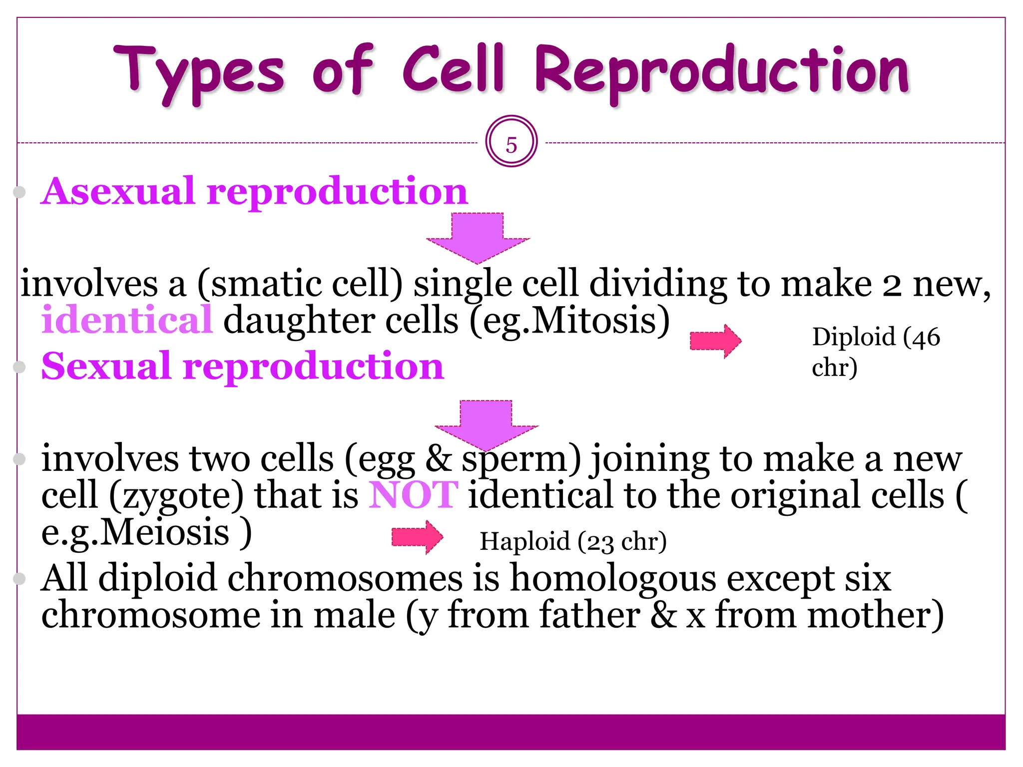 Types of Cell Reproduction
5
 Asexual reproduction
involves a (smatic cell) single cell dividing to make 2 new,
identical daughter cells (eg.Mitosis)
 Sexual reproduction
 involves two cells (egg & sperm) joining to make a new
cell (zygote) that is NOT identical to the original cells (
e.g.Meiosis )
 All diploid chromosomes is homologous except six
chromosome in male (y from father & x from mother)
Diploid (46
chr)
Haploid (23 chr)
 