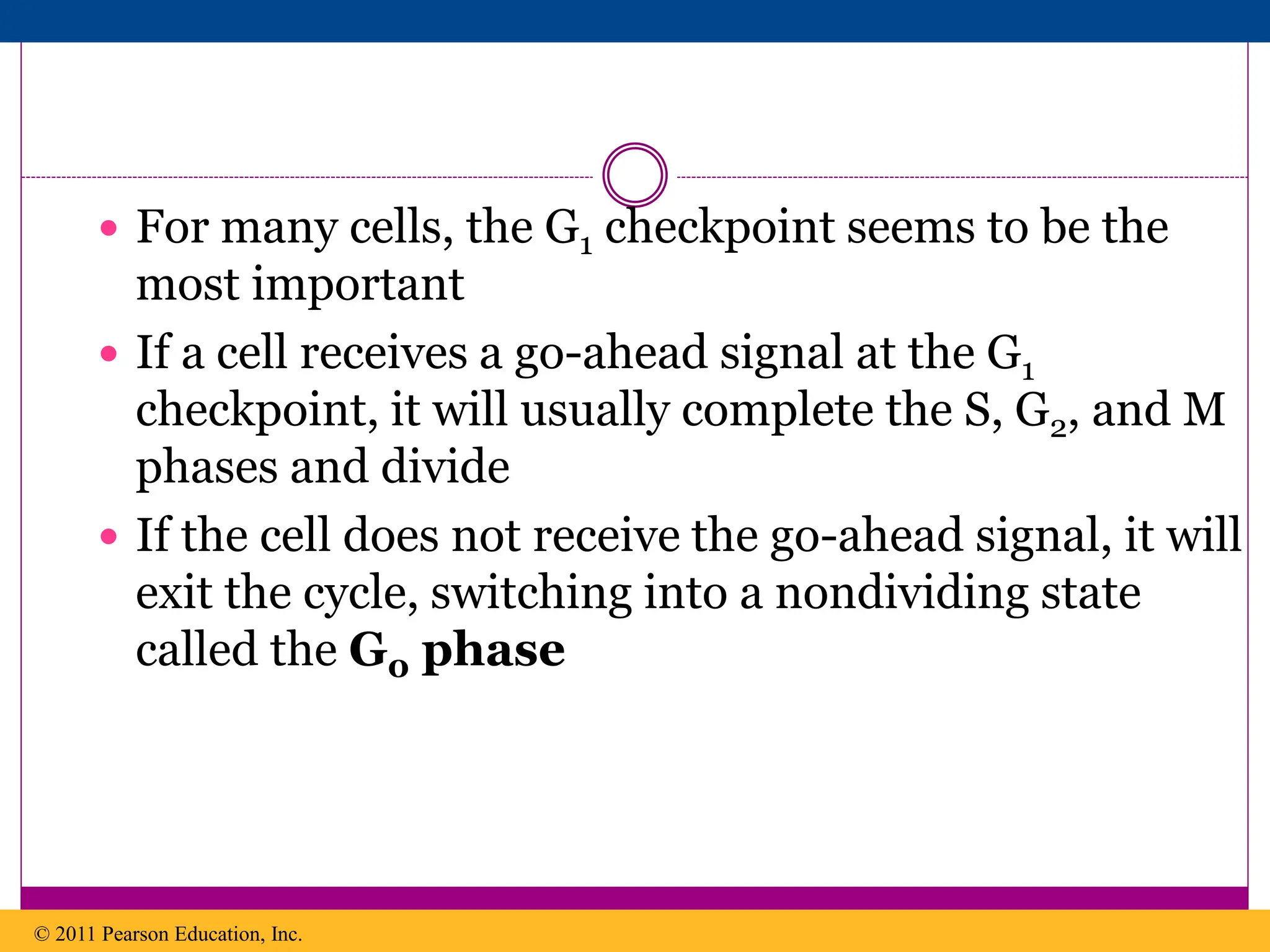  For many cells, the G1 checkpoint seems to be the
most important
 If a cell receives a go-ahead signal at the G1
checkpoint, it will usually complete the S, G2, and M
phases and divide
 If the cell does not receive the go-ahead signal, it will
exit the cycle, switching into a nondividing state
called the G0 phase
© 2011 Pearson Education, Inc.
 