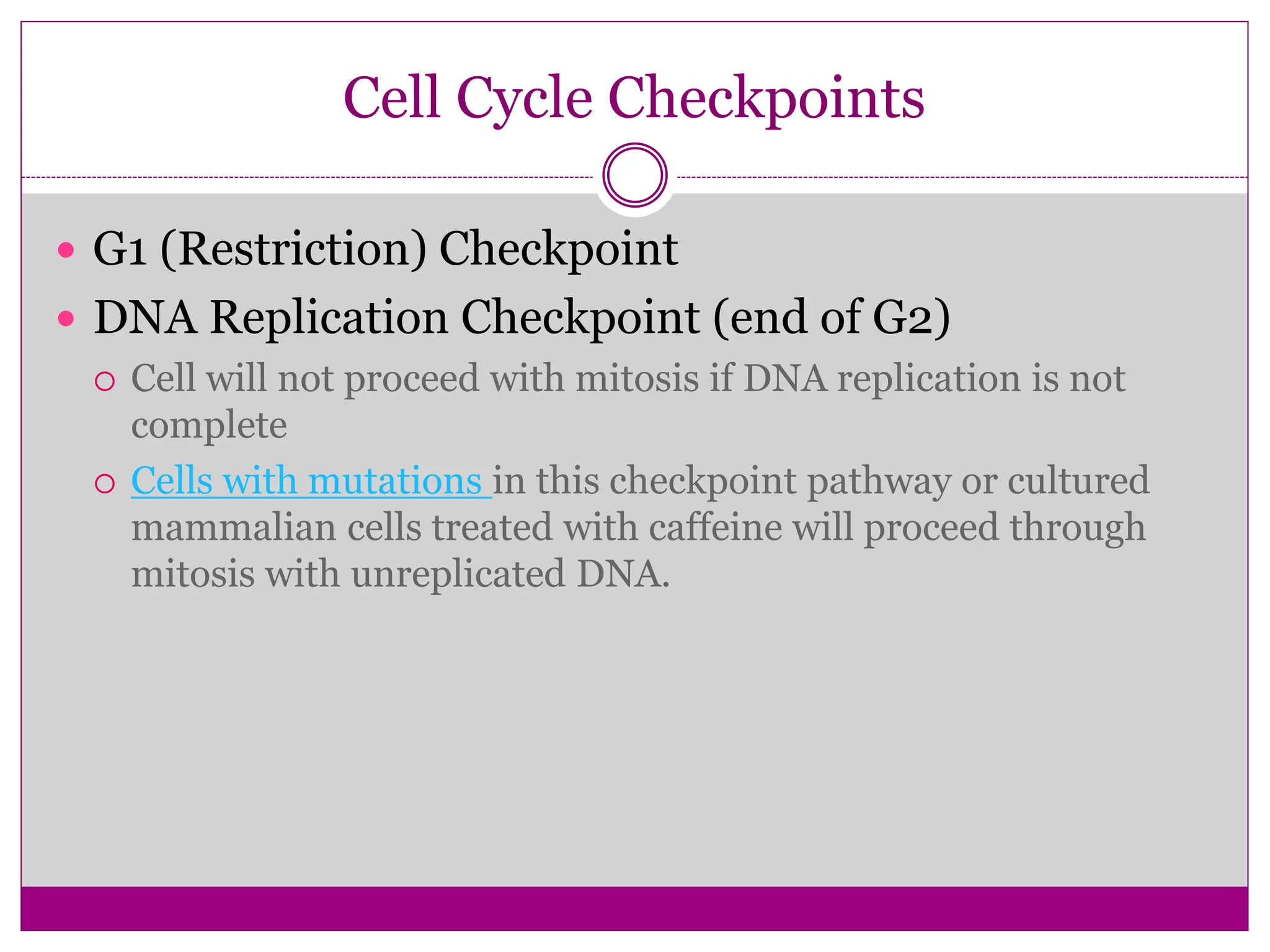 Cell Cycle Checkpoints
 G1 (Restriction) Checkpoint
 DNA Replication Checkpoint (end of G2)
 Cell will not proceed with mitosis if DNA replication is not
complete
 Cells with mutations in this checkpoint pathway or cultured
mammalian cells treated with caffeine will proceed through
mitosis with unreplicated DNA.
 